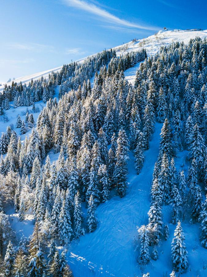 STAZIONE SCIISTICA LURISIA